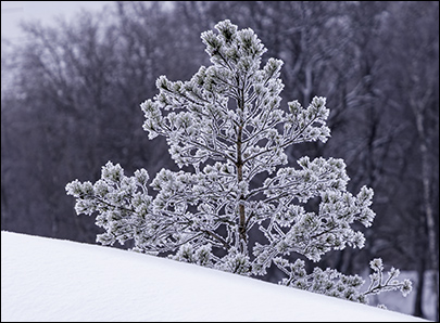 Galleri vinter26